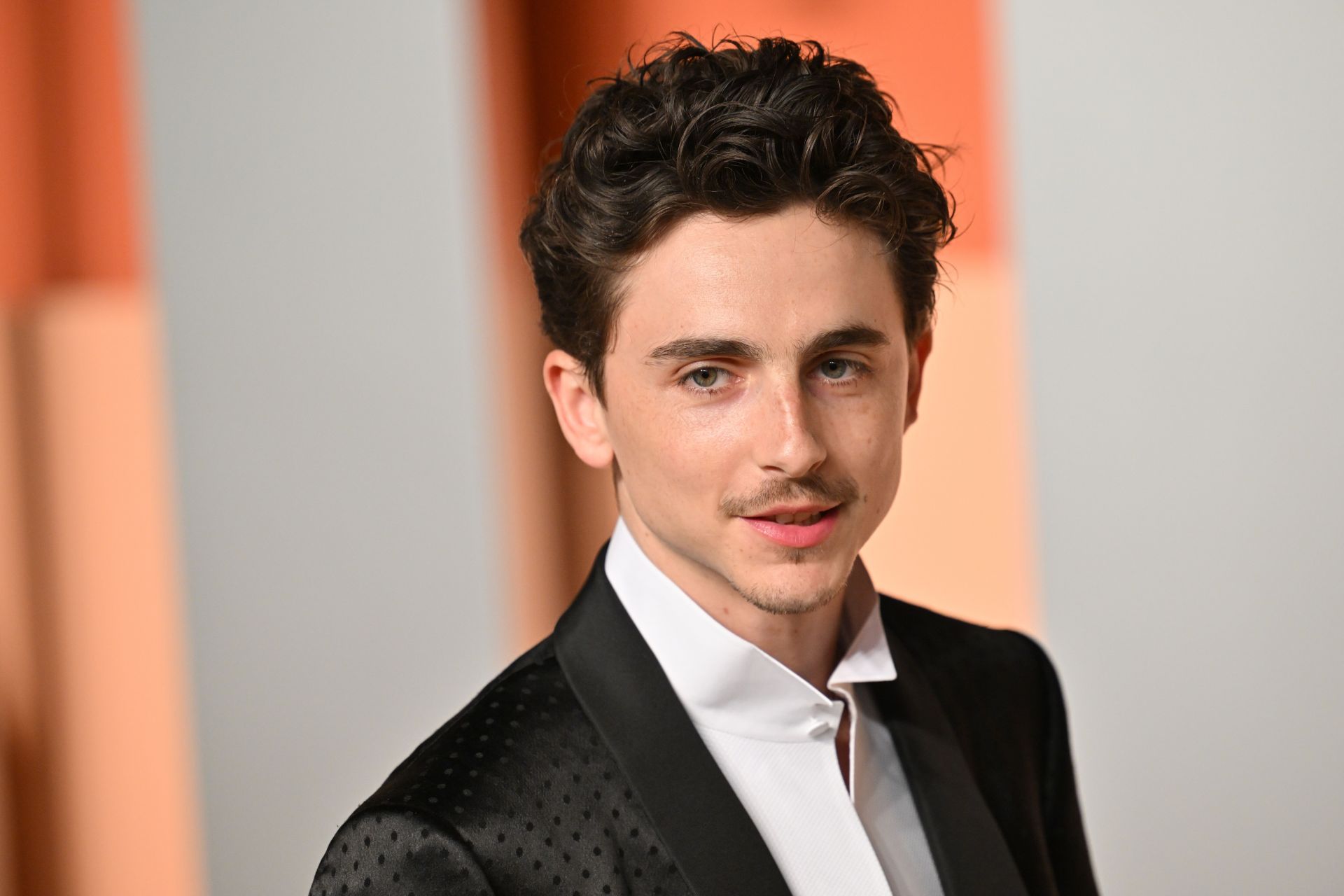 Timoth&eacute;e Chalamet (Image via Getty)