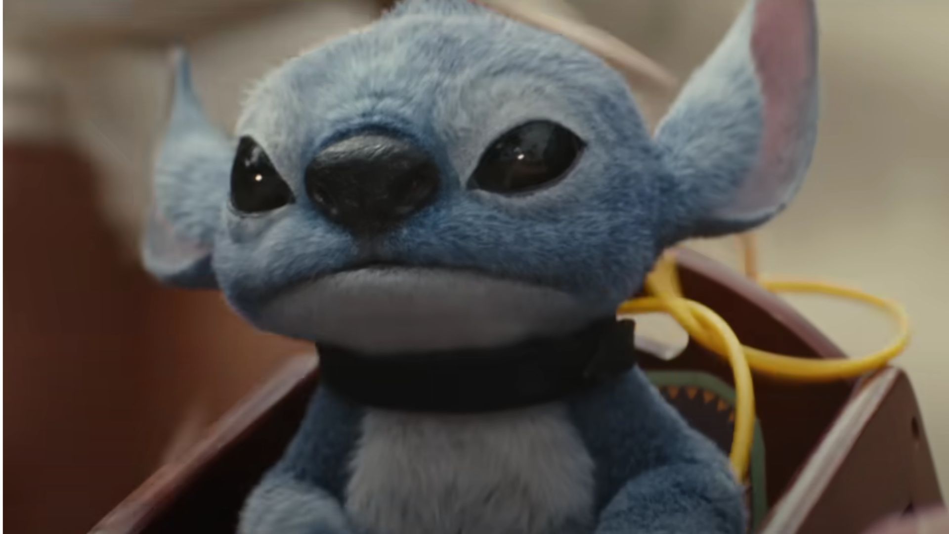 Stitch in 