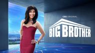 How many seasons of Big Brother are there?