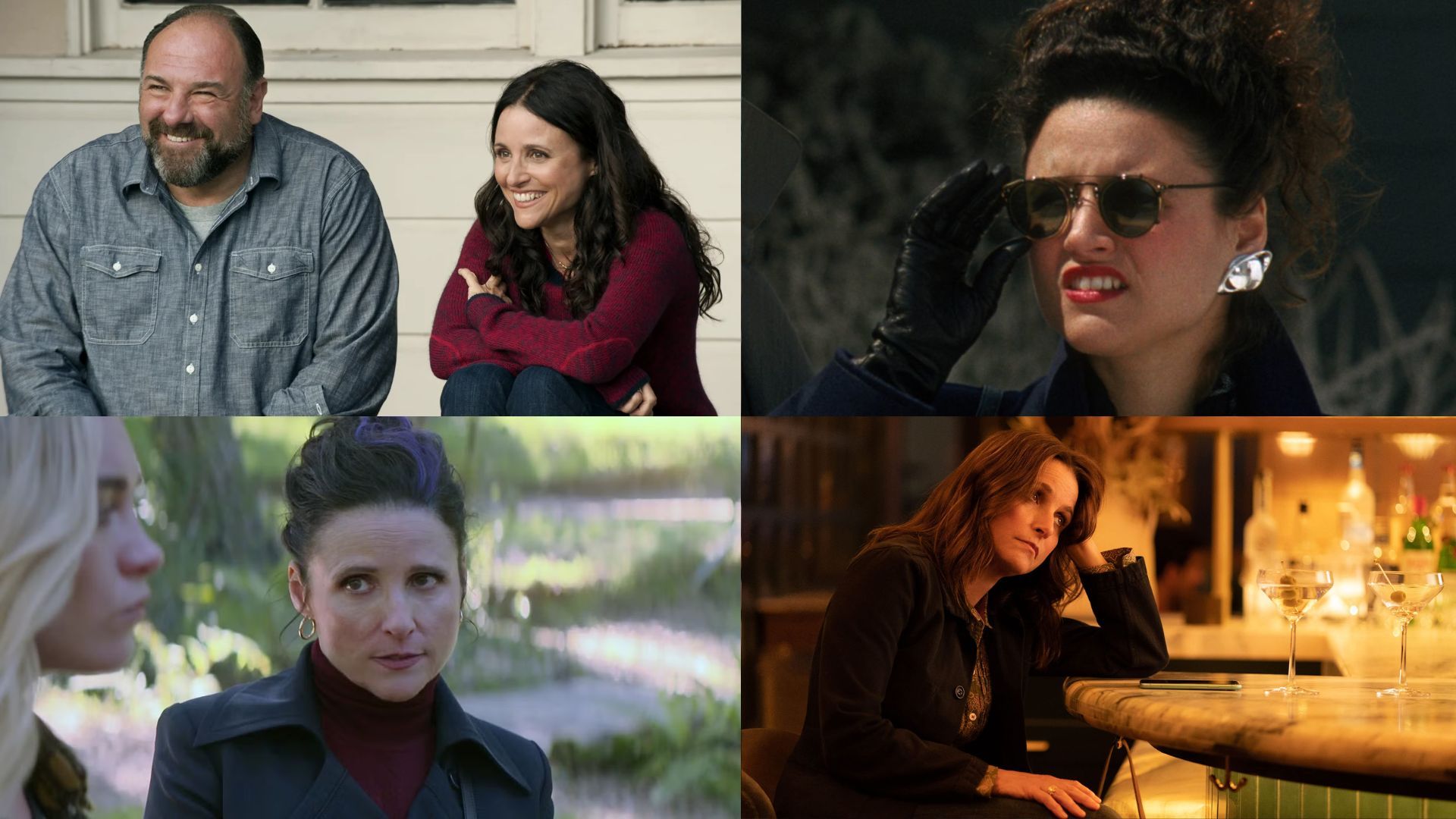 Julia Louis-Dreyfus performances | Images via Netflix, Hotstar and Prime Video