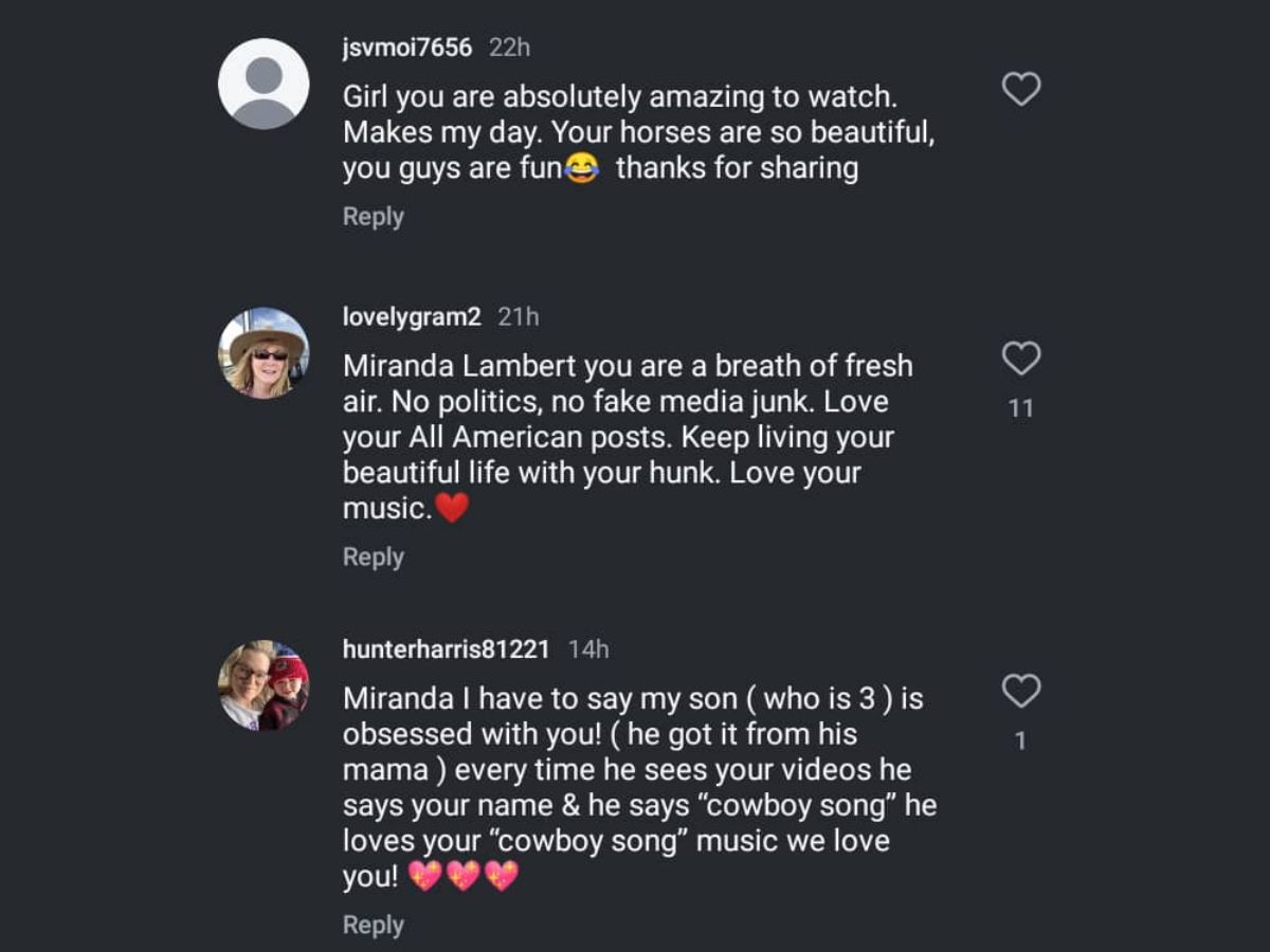 Other Instagram users praised the singer. (Image via Instagram/@MirandaLambert)