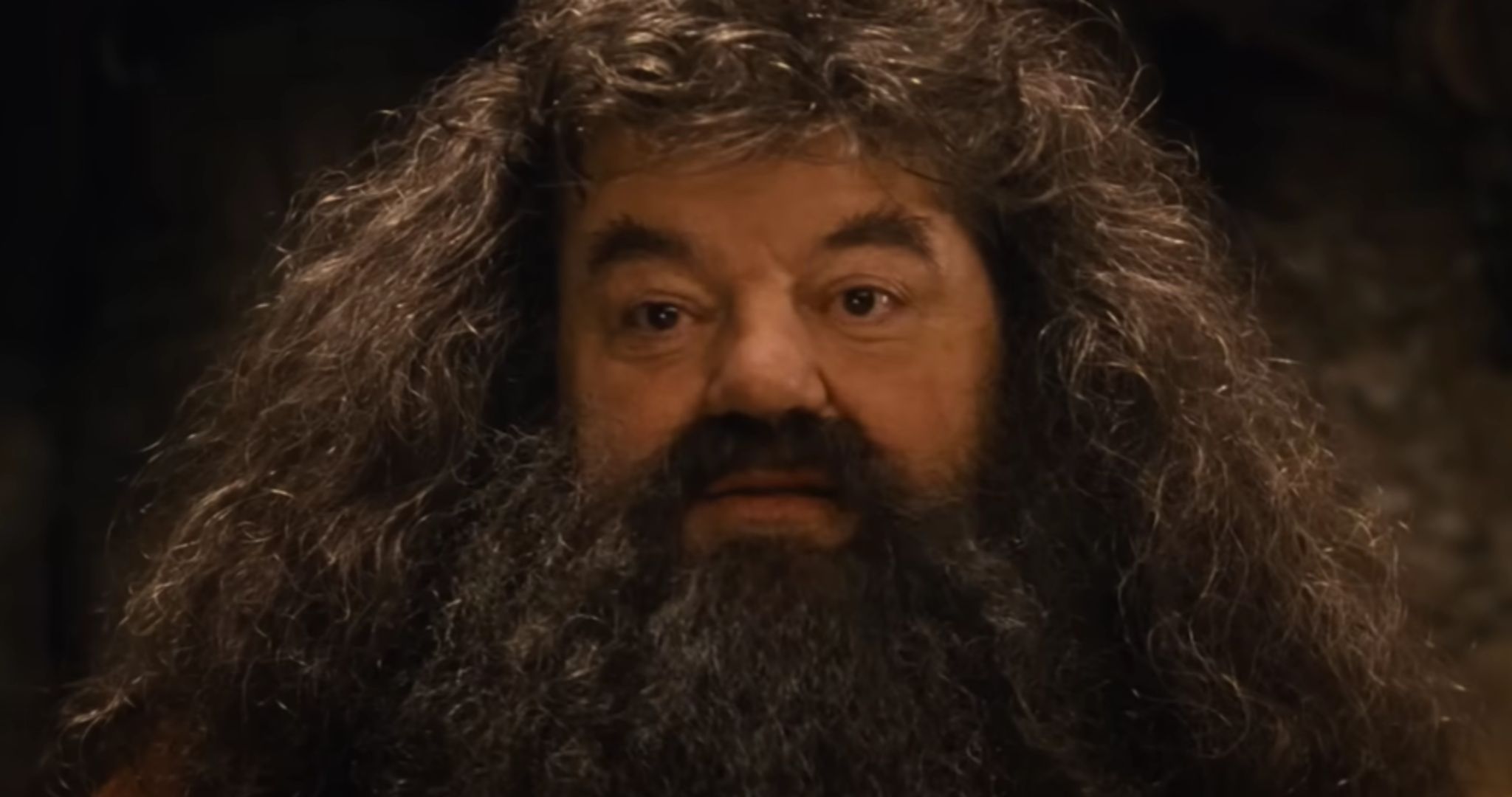 Hagrid | Image Via: Warner Bros. Pictures