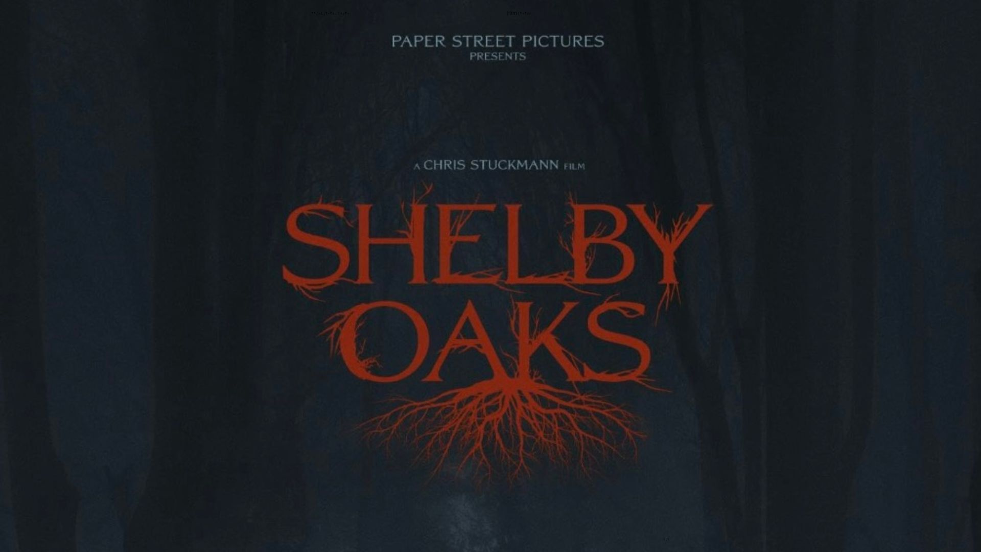 A still from the trailer. (Image Source- Paper Street Pictures)