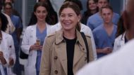 Grey's Anatomy | Image Source: ABC