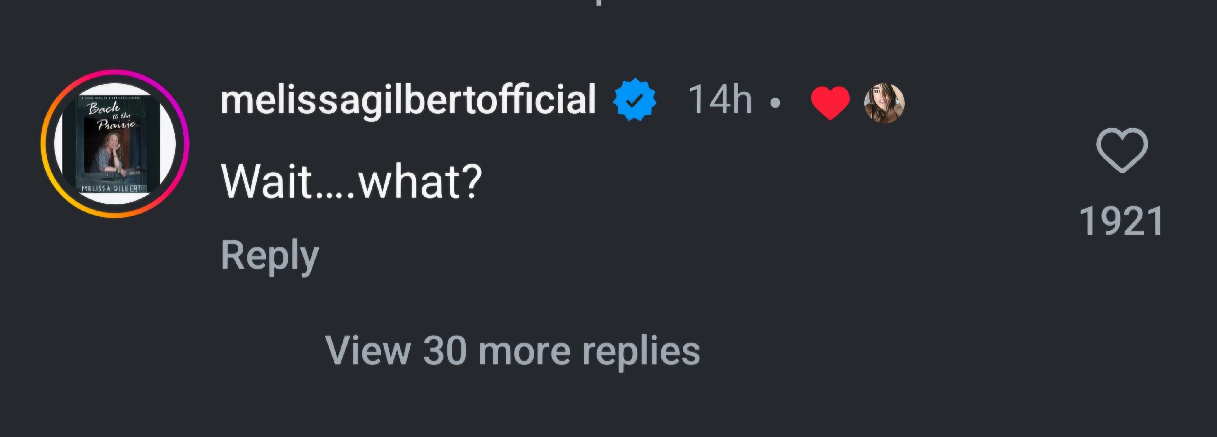 Melissa Gilbert&rsquo;s comment on Elizabeth Hurley and Billy Ray Cyrus&rsquo; post