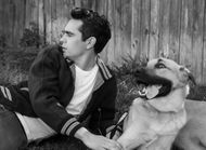 How much is Max Minghella’s net worth?