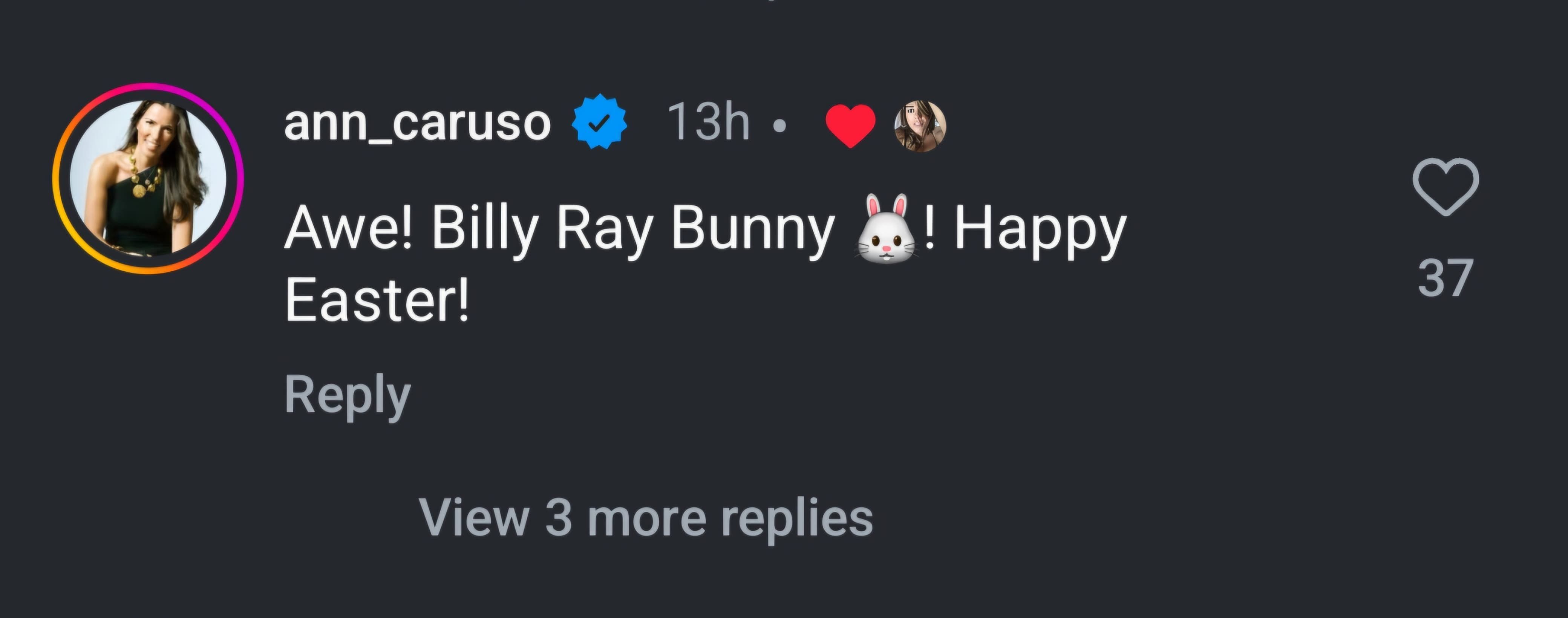 Ann Caruso&rsquo;s comment on Elizabeth Hurley and Billy Ray Cyrus&rsquo; post