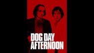 Dog Day Afternoon (Image via Amazon Prime Video)