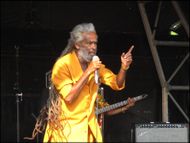 Lambeth Country Show - Source: Getty