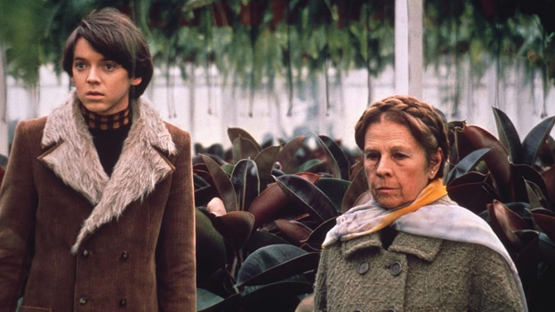 A still from Harold and Maude (Image via Prime Video)