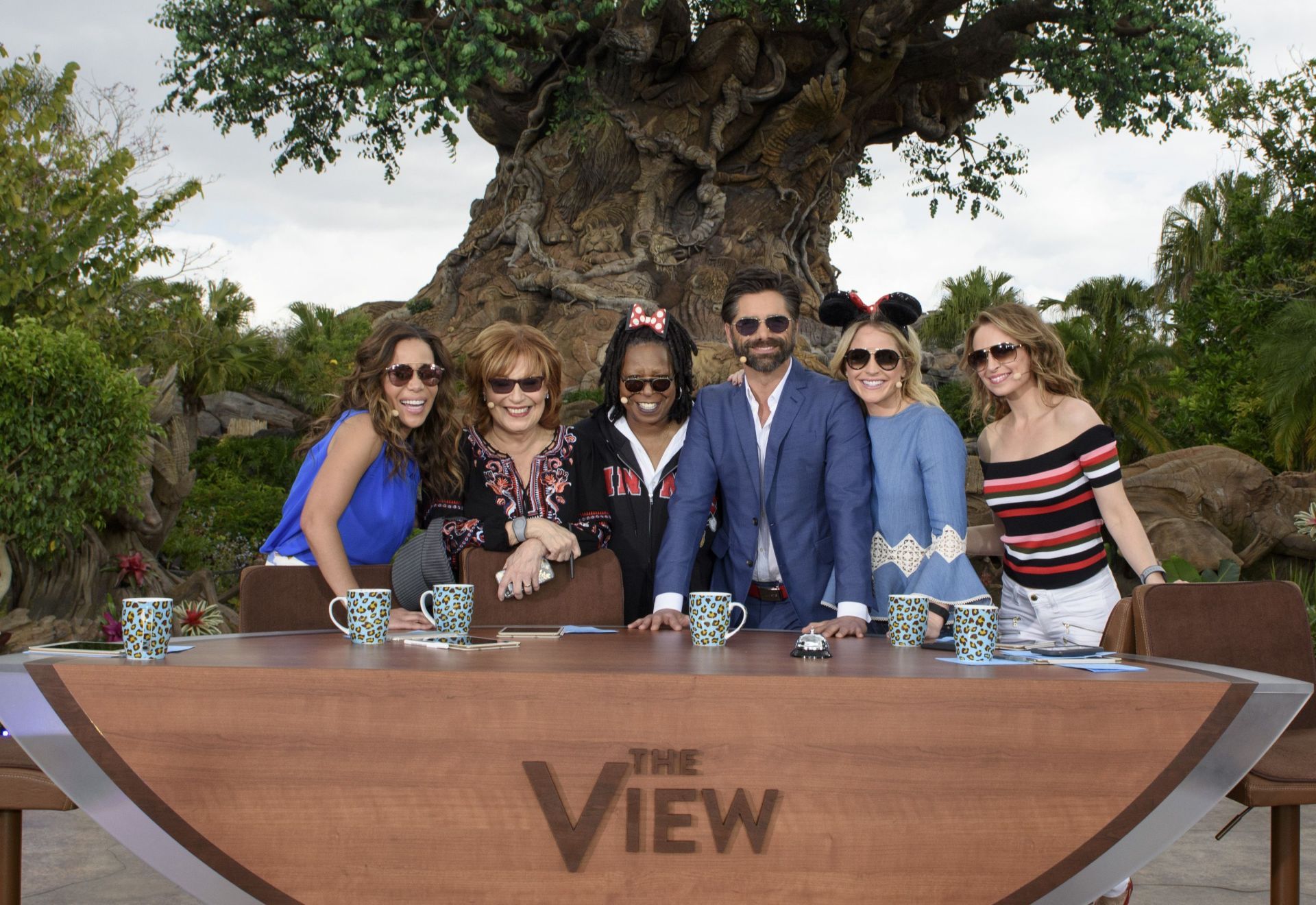 ABC&#039;s &quot;The View&quot; - Season 20 From Walt Disney World Resort - Source: Getty