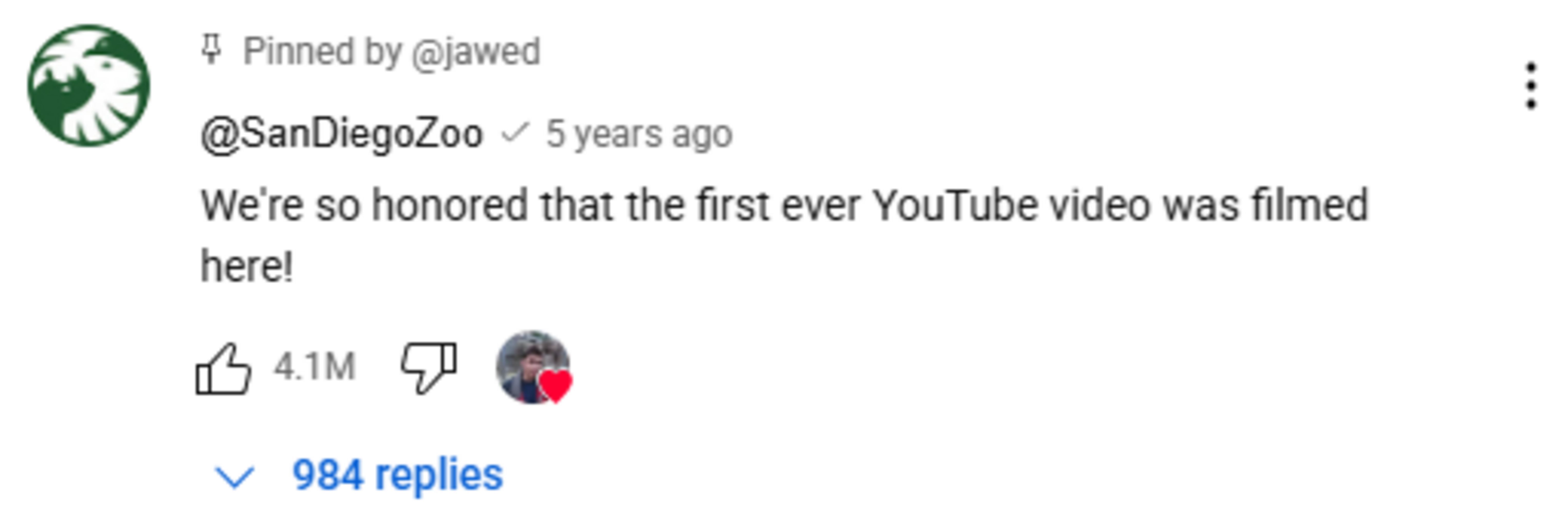 San Diego Zoo comments on Jawed Karim&#039;s video. (Image via YouTube/@jawed)