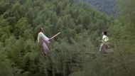 Crouching Tiger, Hidden Dragon | Image Via: Sony Pictures Classics