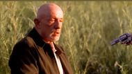Mike Ehrmantraut in Breaking Bad (Season 5, Episode 7) | Image via: Sony Pictures Television