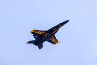 Bethpage Air Show 2022 in New York (Image via Getty)