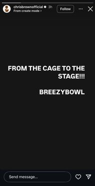 Chris Breezy Brown's story on Instagram after his bail. (Image via Instagram/@chrisbrownofficial)