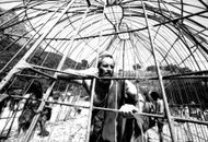 Actor Charlton Heston in a scene from "The Planet of the - Source: Getty