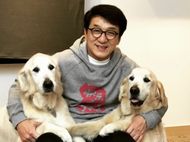 What are Jackie Chan's movies and TV shows?