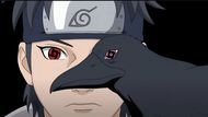 Shisui's eye was implanted in a crow by Itachi (Image Source: Studio Pierrot)