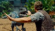 Blue is one of the members of the Velociraptor squad that Grady trains. (Image via Universal Pictures)