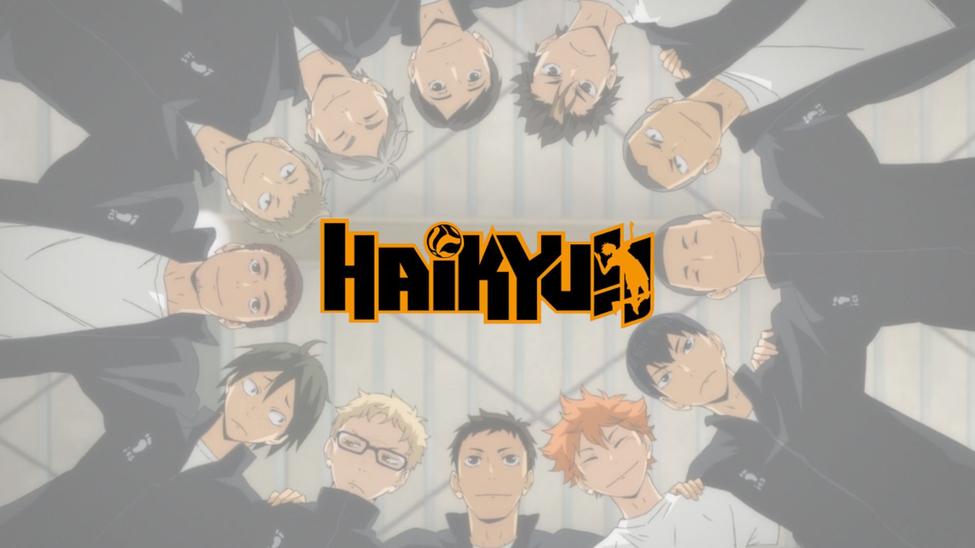 Karasuno as seen in anime 