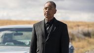 Gus Fring | Image via Netflix