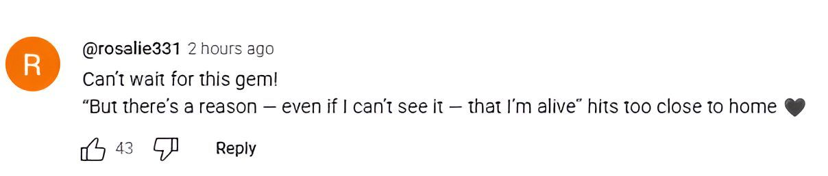 User @rosalie331&#039;s comment (Image Source: Screenshot via YouTube @A24)