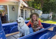 Who is Bart in The Simpsons?