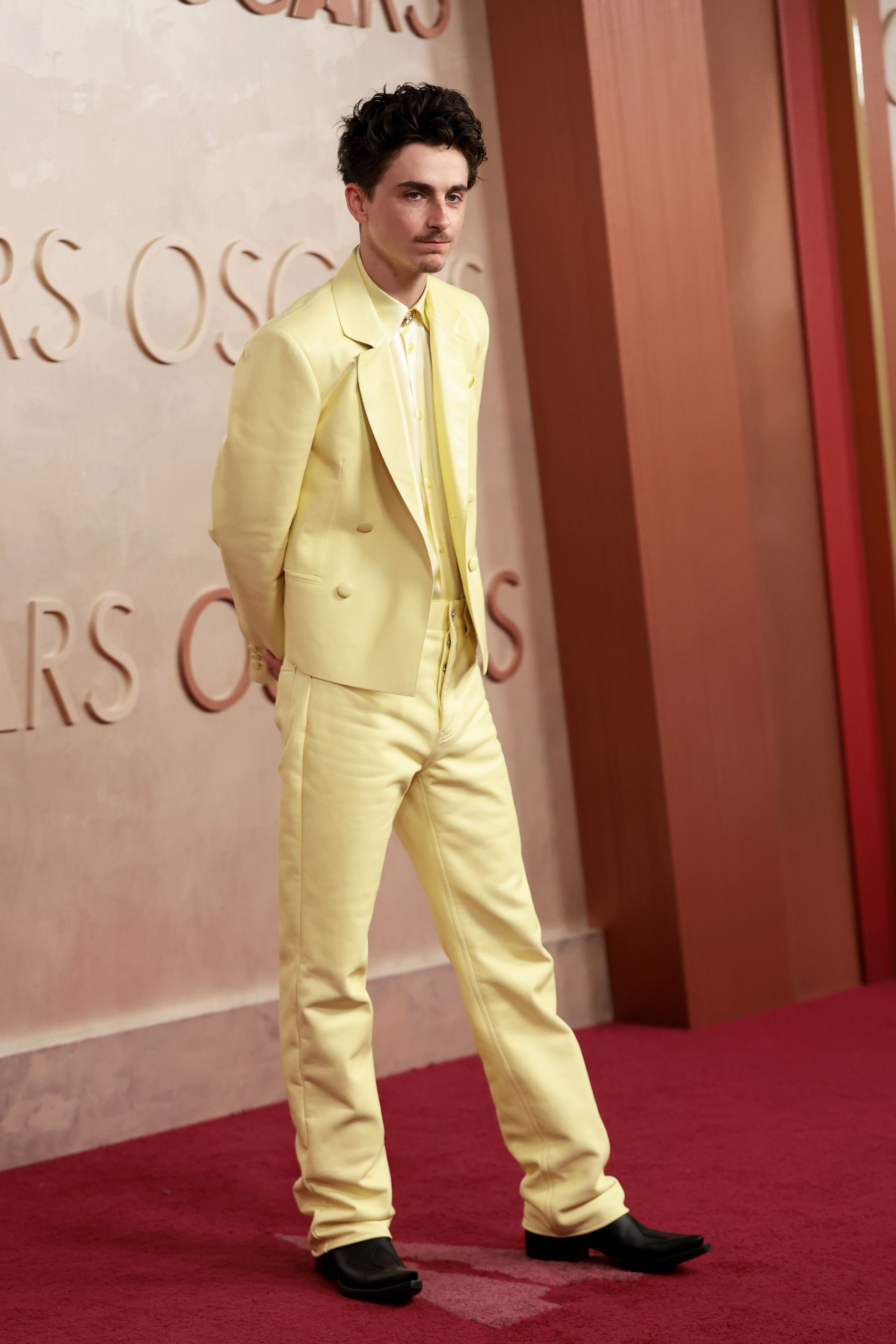 97th Annual Oscars - Arrivals - Source: Getty