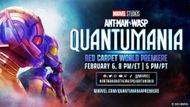 Ant-Man and the Wasp: Quantumania | Image via Marvel