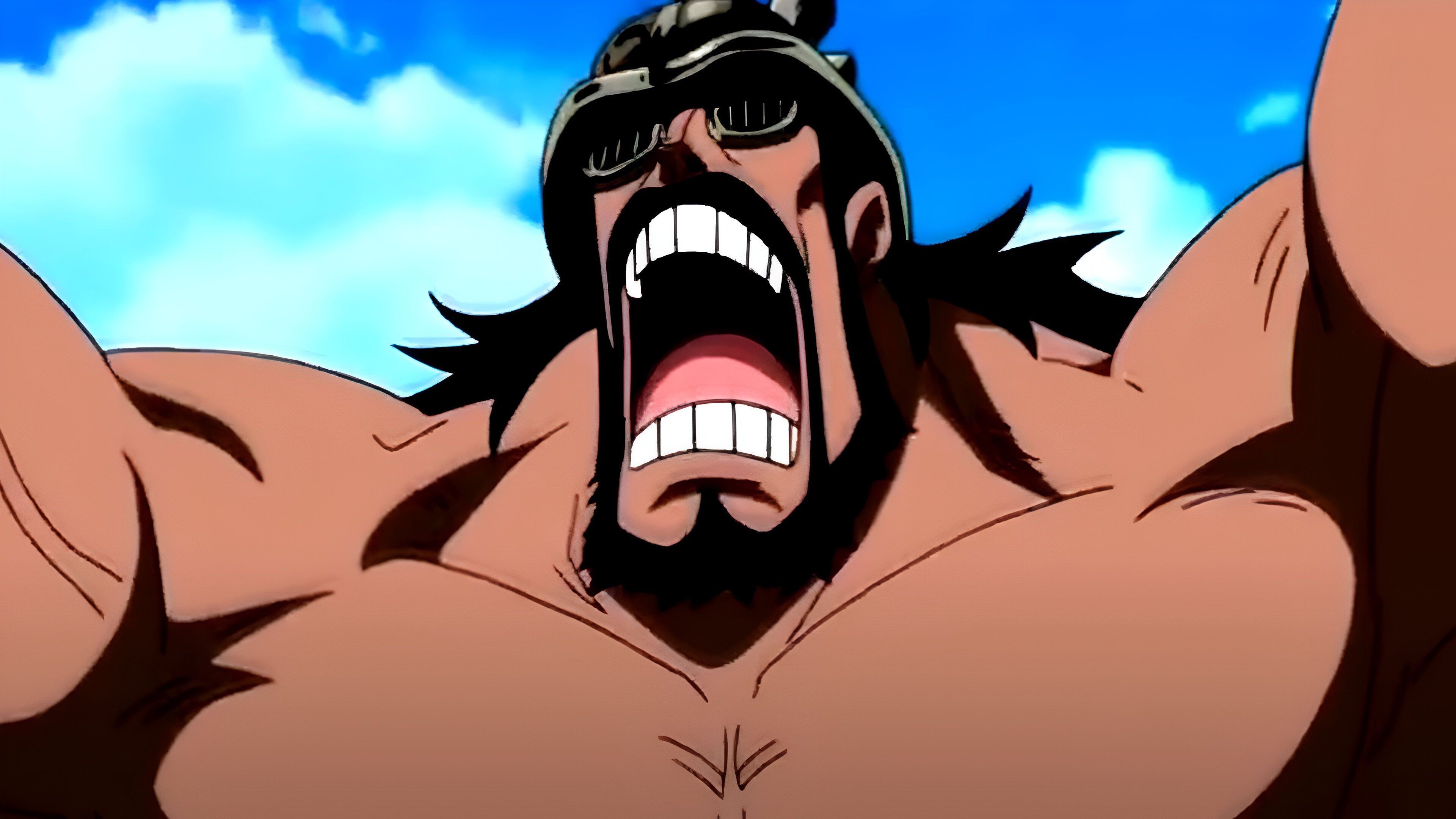 Hajrudin seen doing victory pose in One Piece
