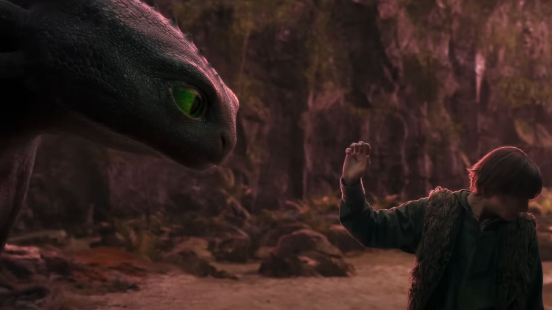 Night Fury and Hiccup