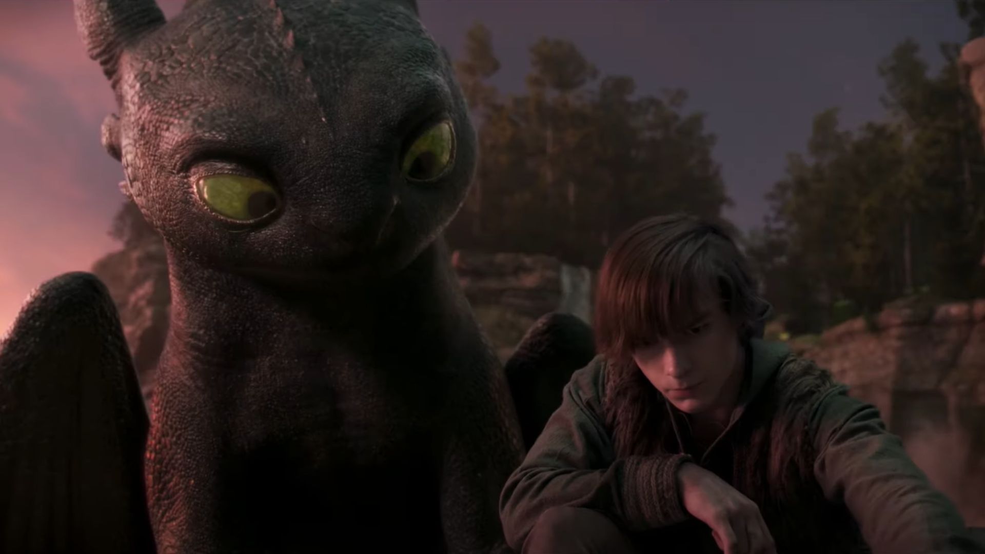 Night Fury and Hiccup