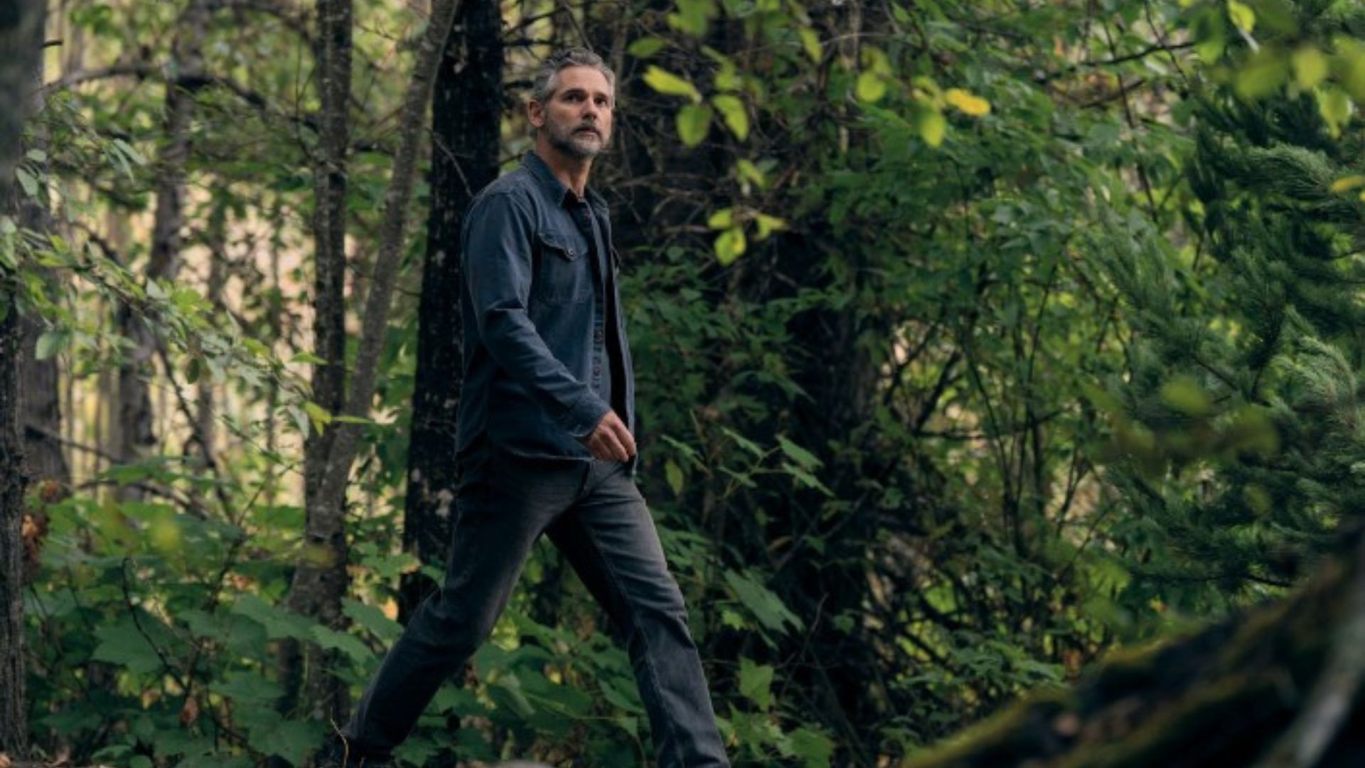 A scene from the upcoming mystery thriller show Untamed | Image source: Netflix