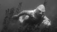 Creature from the Black Lagoon (1954) | Image via: Universal-International