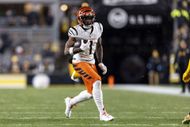 Cincinnati Bengals v Pittsburgh Steelers - Source: Getty