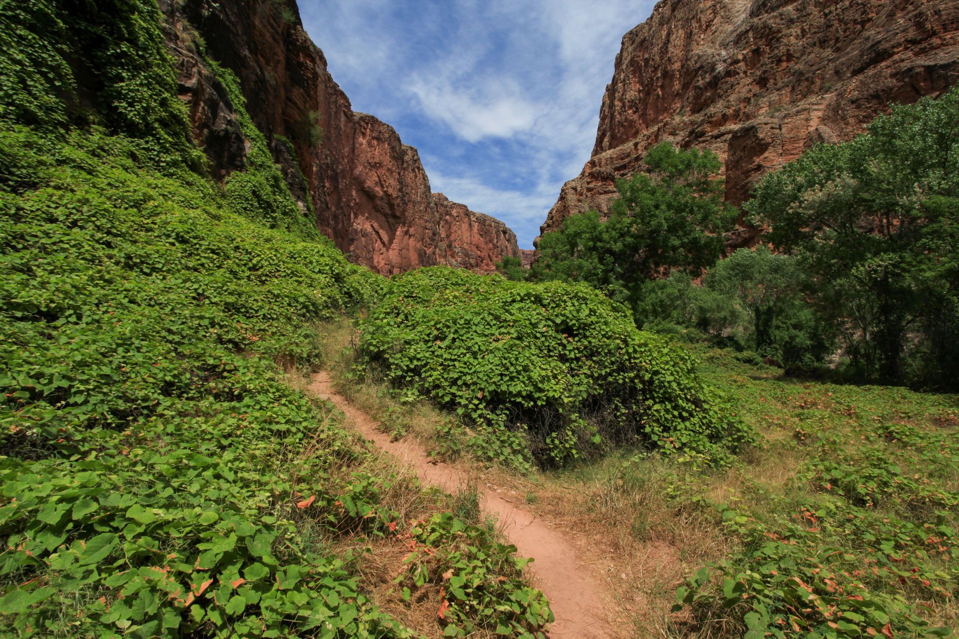 Havasupai Indian Reservation - Source: Getty