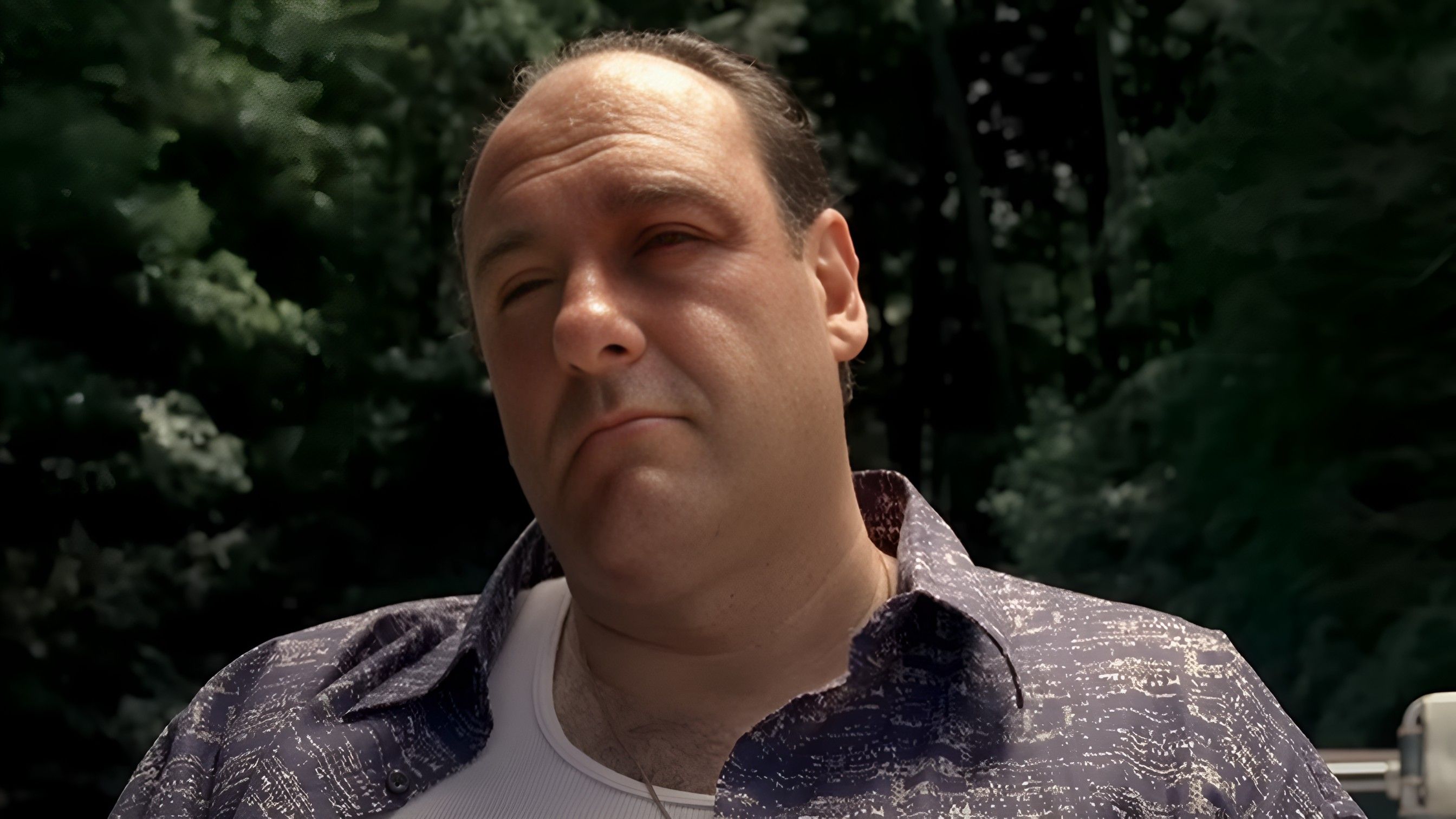 The Sopranos ( Image via YouTube / HBO )