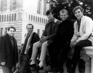 Photo of BEACH BOYS (Image via Getty)