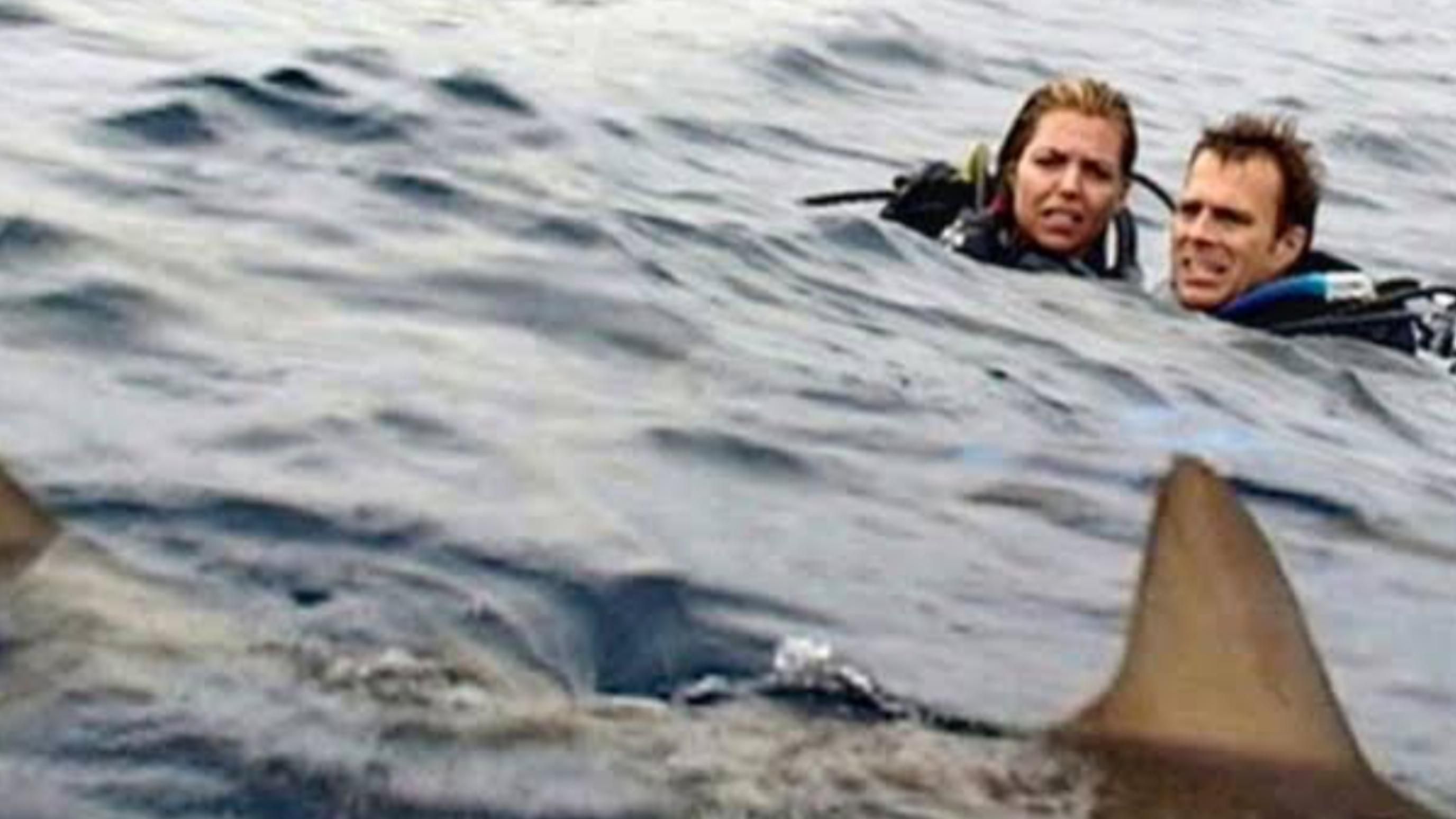 Open Water (2003) | Image Source: Lionsgate
