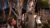 The Tin Man (Image via Warner Bros. Entertainment)