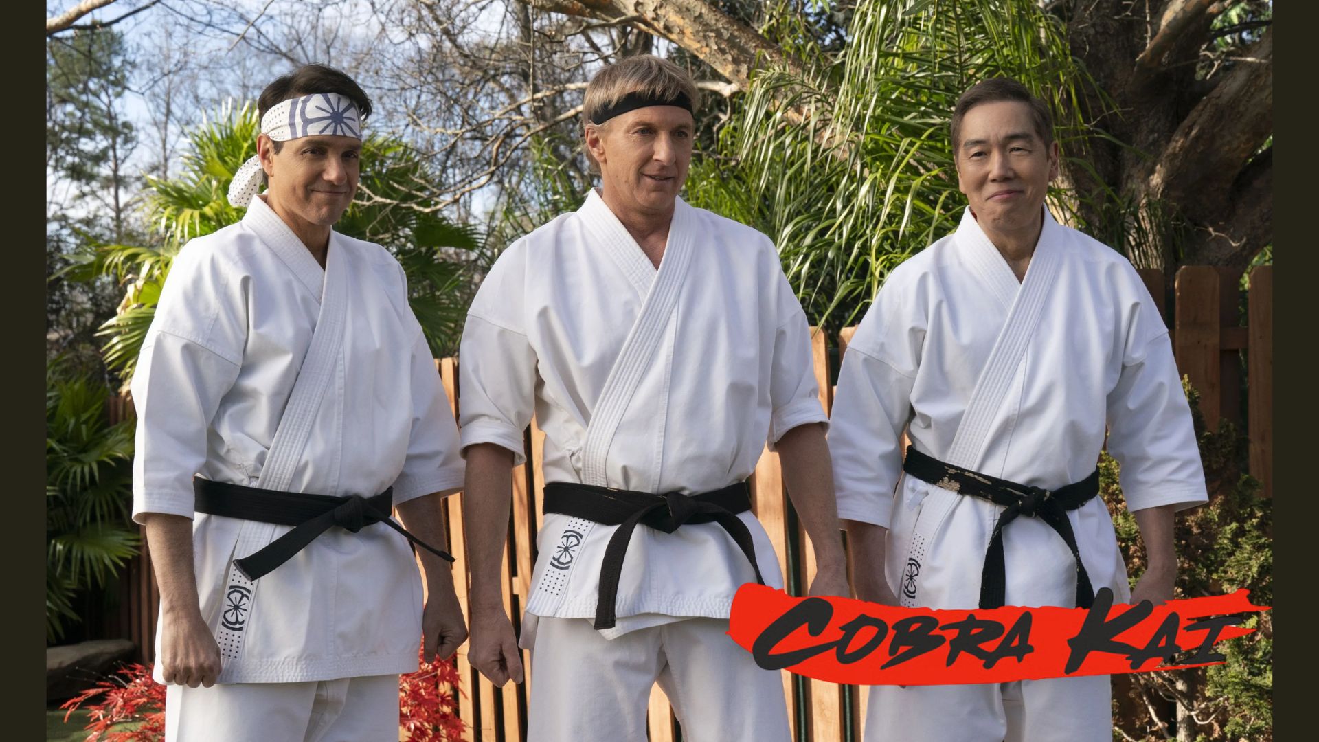 Promotional poster for Cobra Kai | Image via Netflix