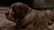 Cujo (1983) | Image via: Warner Bros. Pictures
