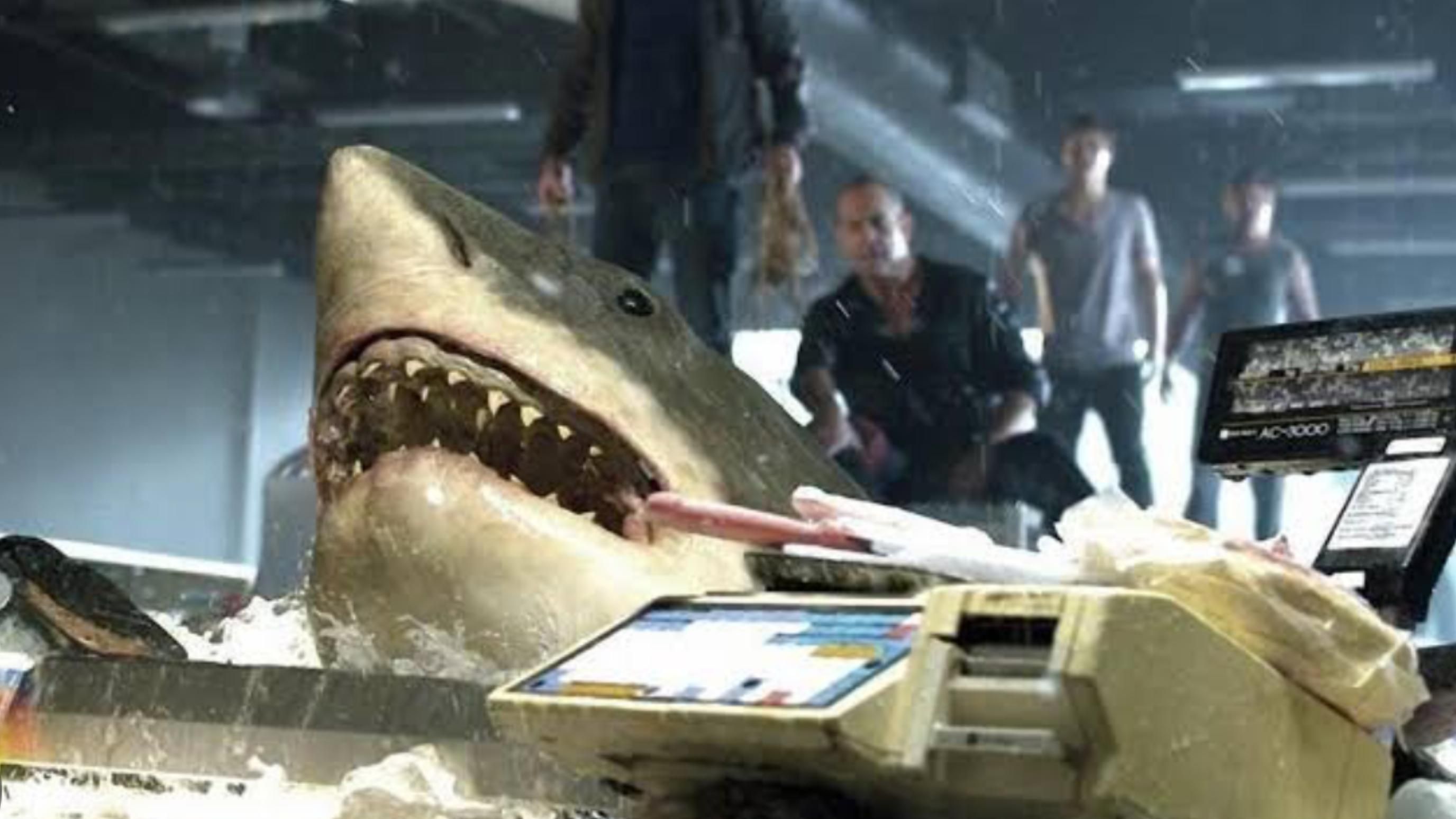 Bait (2012) | Image Source: Roadshow Films