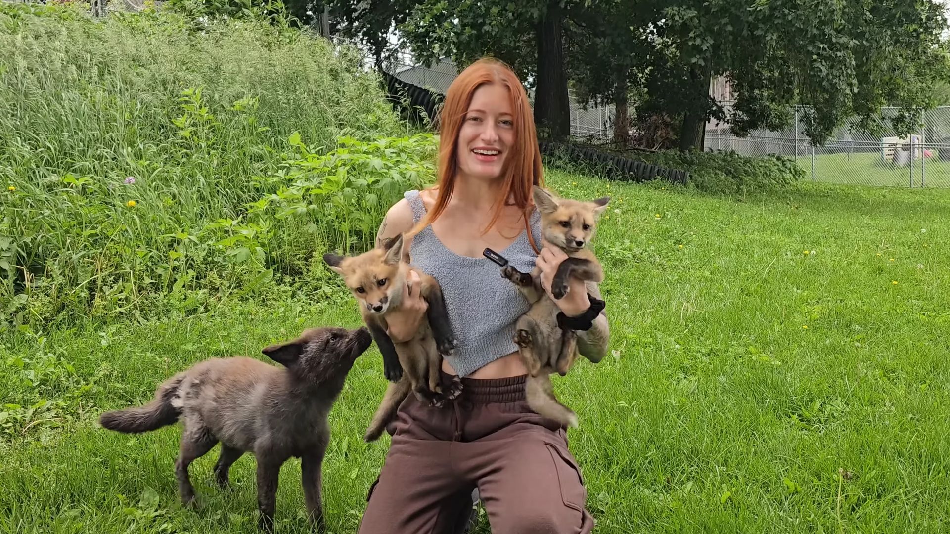 Save A Fox founder, Mikayla Raines, is no more (Image via YouTube/Savafox)