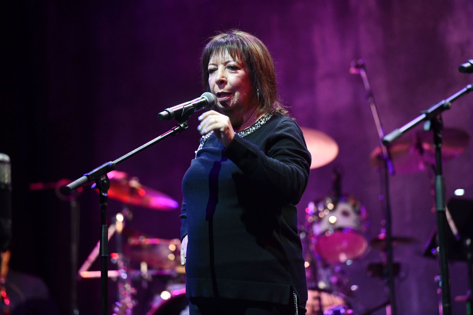 California Saga 2 Benefit Concert - Source: Getty