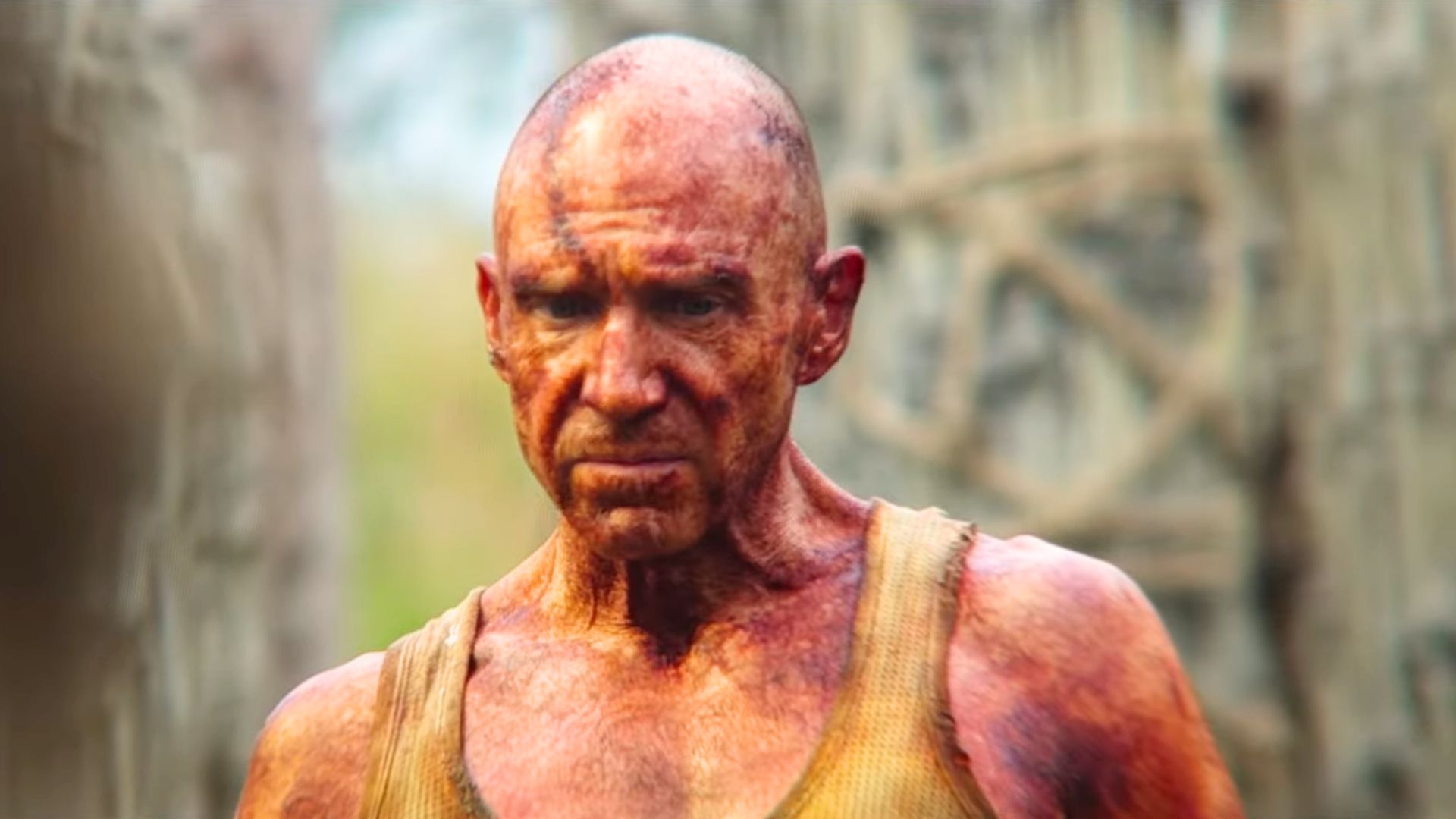Ralph Fiennes in 28 Years Later | Image via Columbia Pictures