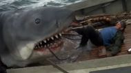 Jaws (1975) | Image via: Universal Pictures