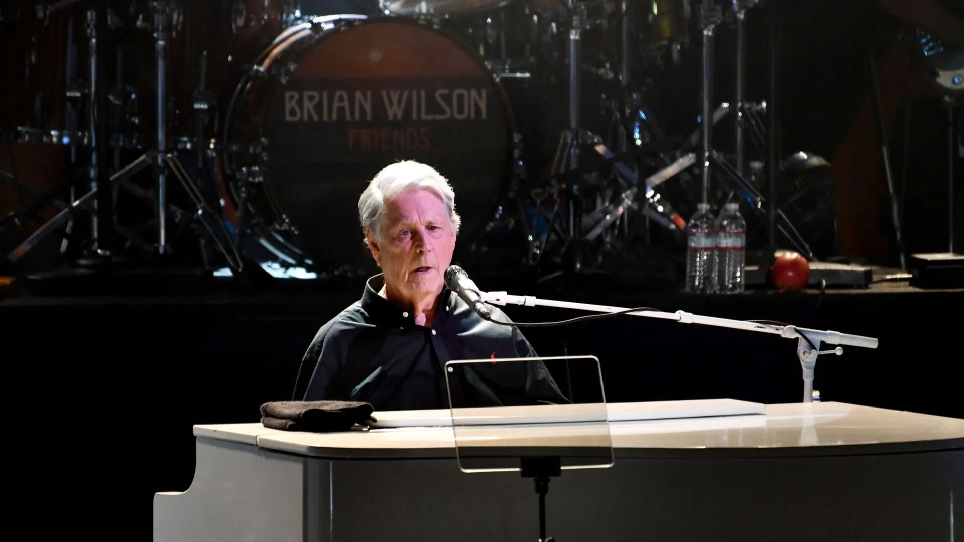 Brian Wilson Performs At The Greek Theatre - Source: Getty