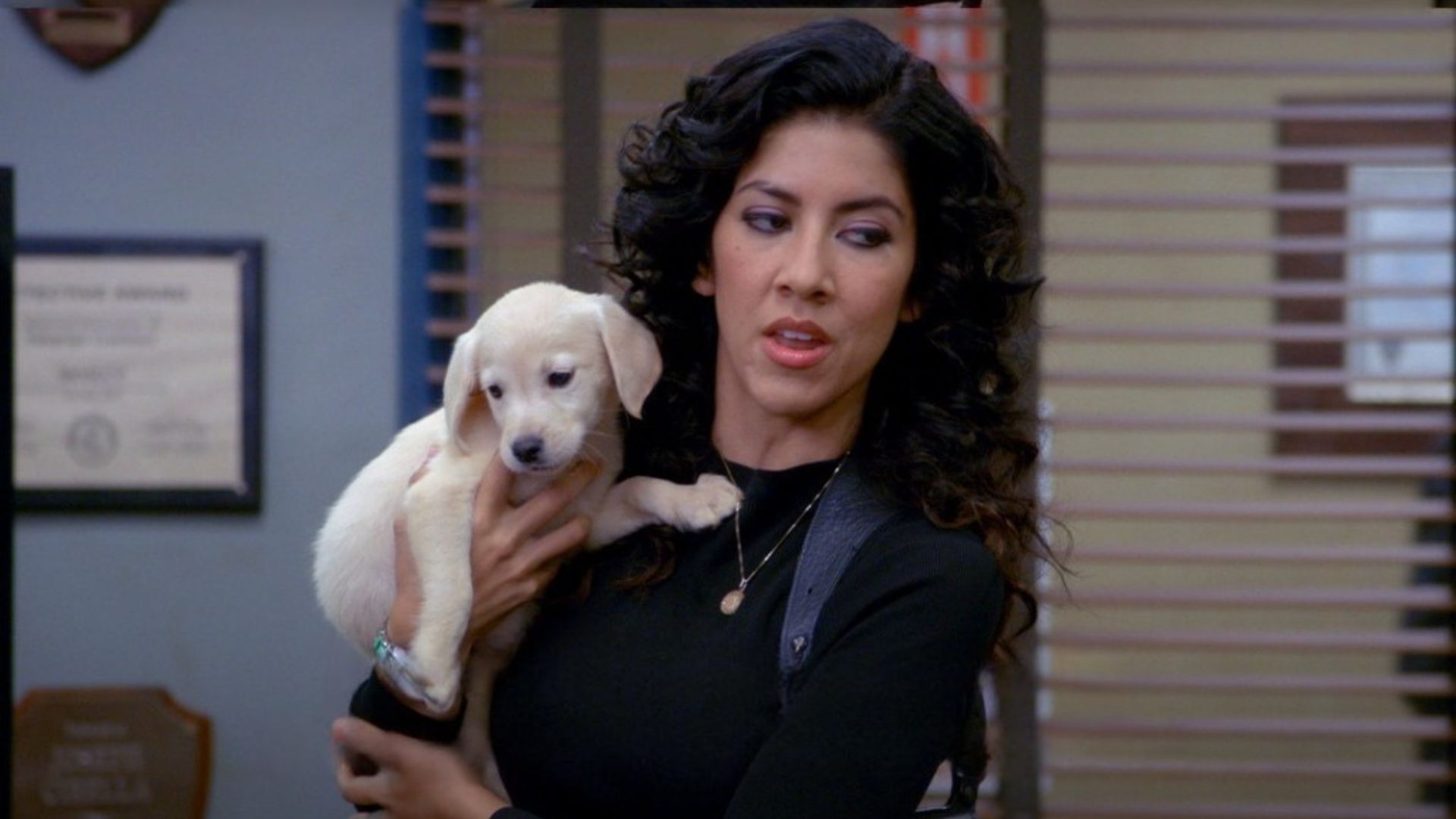 This Brooklyn 99 actor originally auditioned for Rosa Diaz (Image via Instagram/@brooklyn99) 
